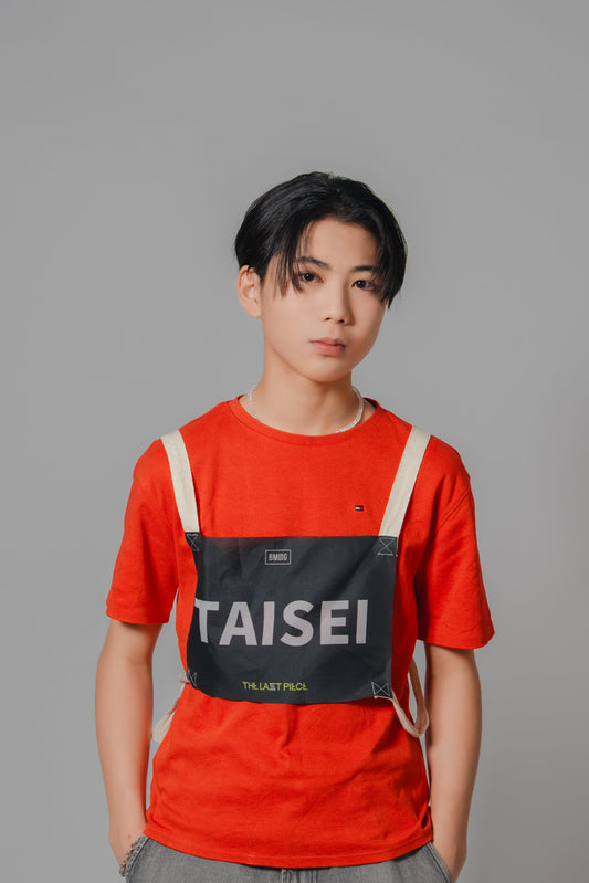 TAISEI